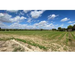 Terreno en Venta en Cox, Alicante