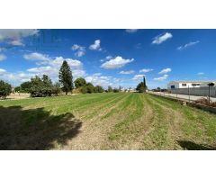 Terreno en Venta en Cox, Alicante