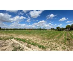 Terreno en Venta en Cox, Alicante