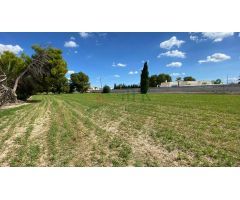 Terreno en Venta en Cox, Alicante