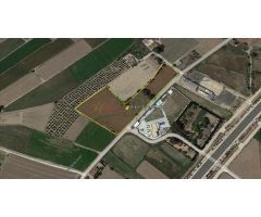 Terreno en Venta en Cox, Alicante