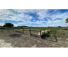 Finca rustica en Venta en Almoradí, Alicante