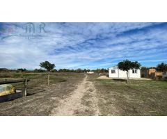 Finca rustica en Venta en Almoradí, Alicante