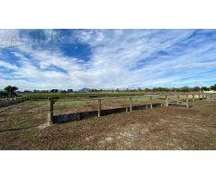 Finca rustica en Venta en Almoradí, Alicante