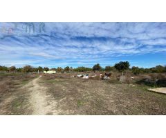 Finca rustica en Venta en Almoradí, Alicante