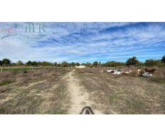 Finca rustica en Venta en Almoradí, Alicante