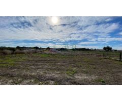 Finca rustica en Venta en Almoradí, Alicante