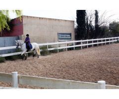 Finca de Recreo en Venta en Los Dolores, Alicante