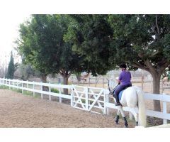 Finca de Recreo en Venta en Los Dolores, Alicante