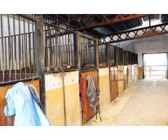 Finca de Recreo en Venta en Los Dolores, Alicante