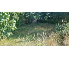 PARCELA EN VENTA SANT FELIU DE: Consta de 748 m de superficie, semiplanos, con un rebaje de terreno 