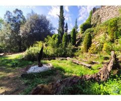 Finca rústica en la Alta Garrotxa