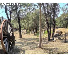 Finca de 25 hectáreas con vistas espectaculares