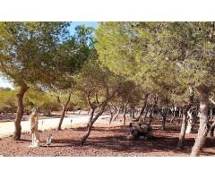 GRAN FINCA DE 12947 METROS CUADRADOS CON CASA DE LUJO