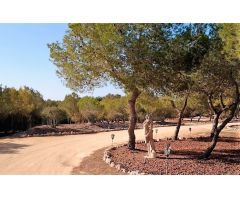 GRAN FINCA DE 12947 METROS CUADRADOS CON CASA DE LUJO