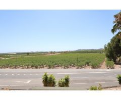 ¡EXCELENTE OPORTUNIDAD: HOSTAL RURAL EN SAN MIGUEL DE SALINAS CON VISTAS DESPEJADAS!
