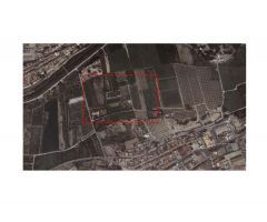 Parcela rústica de 2070 m2. Muy cerca del casco urbano. Plantación y recreo.
