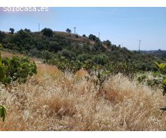 Magnifica Finca rustica en Estepona