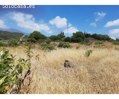 Magnifica Finca rustica en Estepona