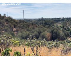 Gran Finca, con gran potencial hotelero, cria caballos o agricola