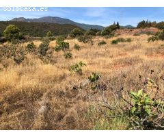 Gran Finca, con gran potencial hotelero, cria caballos o agricola