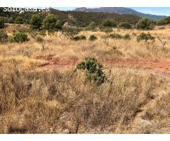 Gran Finca, con gran potencial hotelero, cria caballos o agricola