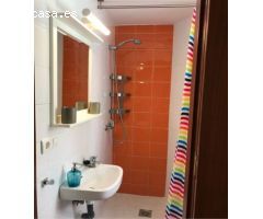 SE ALQUILA APARTAMENTO PERFECTO PARA ESTUDIANTES DE MASTER, EXTRANJEROS, ETC.