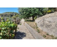 PARCELA EN VENTA EN CALLE DEL SOL TORRELLES