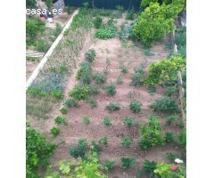 Se vende chalet en Monserrat, Valencia