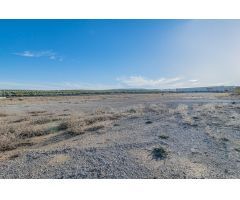 VENTA DE UNA PARCELA INDUSTRIAL EN EL POLIGONO TECNOLOGICO DE ESCUZAR DE 35.000 M2