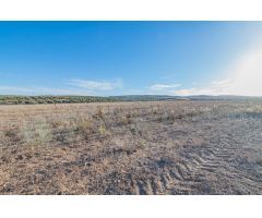 VENTA DE 21.500 M2 DE SUELO INDUSTRIAL EN EL PARQUE METROPOLITRANO DE ESCUZAR (GRANADA)