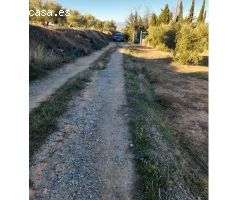 Terreno rústico en Cogollos Vega, con toma de luz y agua en la entrada