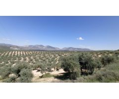 Terreno de secano en Pinos Puente