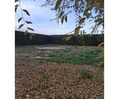Finca rustica en Venta en Fuente Vaqueros, Granada