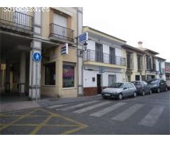 Magnifico local en Ogijares