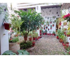 Casa en Venta en Villaviciosa de Córdoba, Córdoba