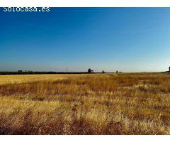 *Venta de Terreno Industrial en La Carlota - Oportunidad Única*