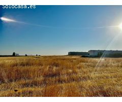 *Venta de Terreno Industrial en La Carlota - Oportunidad Única*