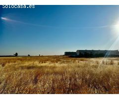 *Venta de Terreno Industrial en La Carlota - Oportunidad Única*