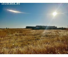 *Venta de Terreno Industrial en La Carlota - Oportunidad Única*