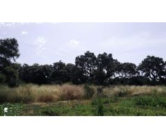 Terreno urbano en Venta en Villaviciosa de Córdoba, Córdoba