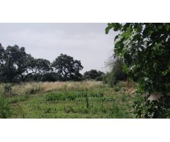 Terreno urbano en Venta en Villaviciosa de Córdoba, Córdoba