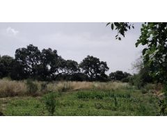 Terreno urbano en Venta en Villaviciosa de Córdoba, Córdoba