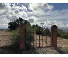 Terreno en Urb. Los Encinares de Alcolea, Córdoba.
