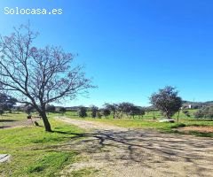 Encantadora finca rústica con olivar y urbana con vivienda en perfecto estado en Villaviciosa!
