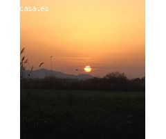 Parcelas a la venta en Crevillente