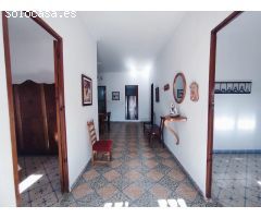 Fantástica casa con terreno en Dolores, Alicante