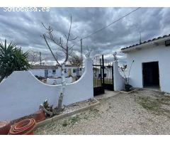 Fantastica finca rustica con casa y zona para caballos en Catral, Alicante, costa blanca