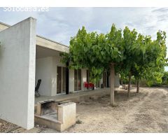 Estupenda finca rústica en el término municipal de San Miguel de Salinas, Alicante