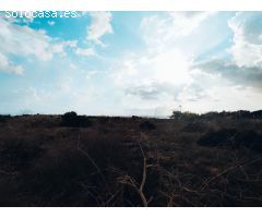 Parcela de terreno en venta con vistas al mar en Guardamar del Segura, Alicante, Costa Blanca